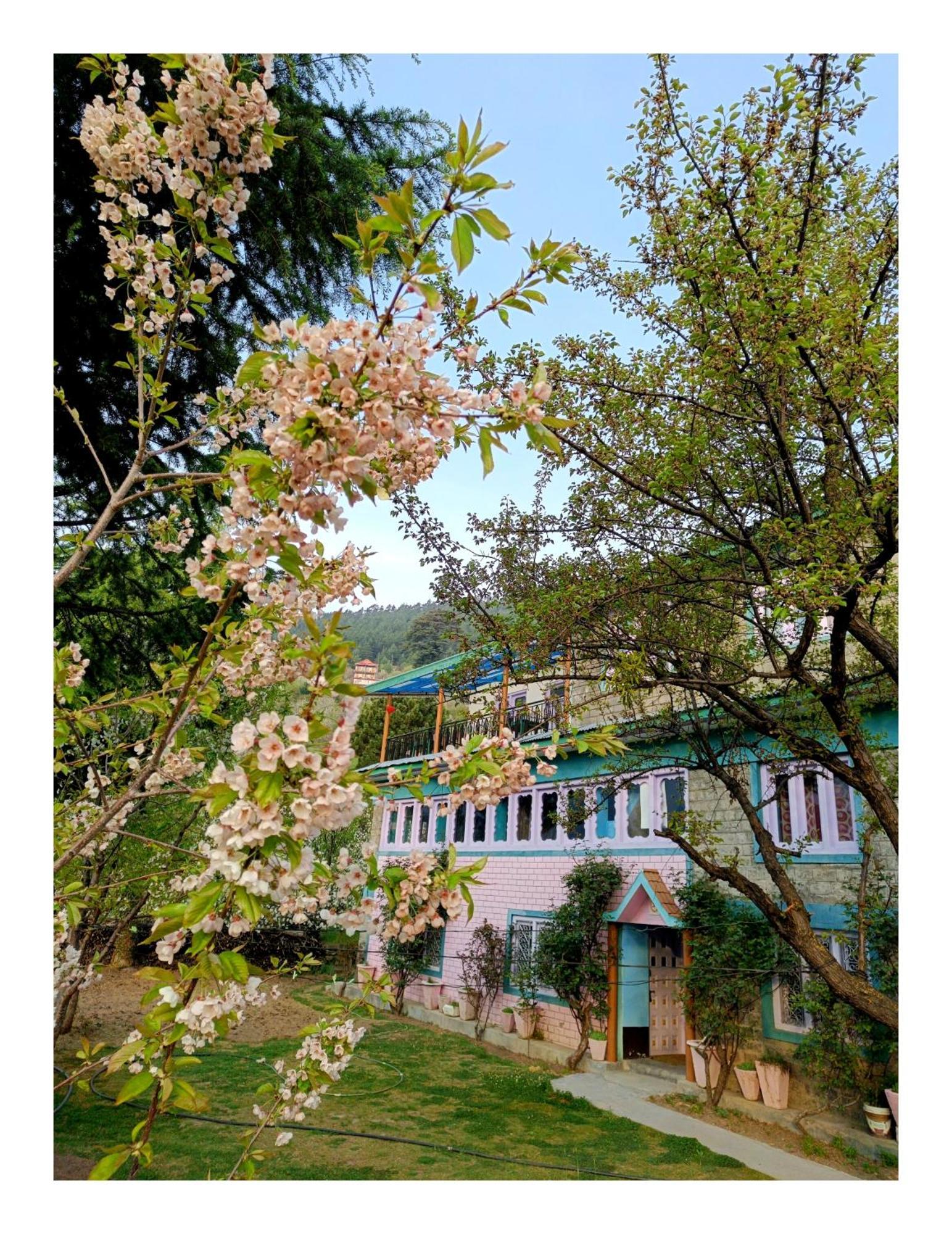 Farmvilla Homestay 卡尔帕 外观 照片
